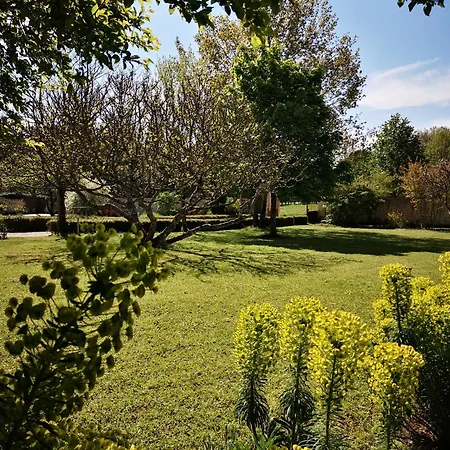 住宿加早餐酒店 La Burie Saint-Savinien